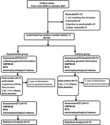 Evaluating the Effects of 5-Hz Repetitive Transcranial Magnetic Stimulation With and Without Wrist-Ankle Acupuncture on Improving Spasticity and Motor Function in Children With Cerebral Palsy: A Randomized Controlled Trial